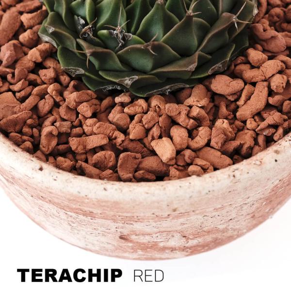 植物の成長を最大限に引き出す陶器用粘土を利用した土壌改良剤テラチップの特徴は焼成により内部に多孔質（極微細な穴）を形成していること。これにより多くの水分と養分をテラチップ内に貯蔵する事ができます。蓄えられた水分と養分は用土の乾燥が進むにつれ...