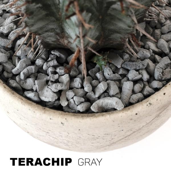 植物の成長を最大限に引き出す陶器用粘土を利用した土壌改良剤テラチップの特徴は焼成により内部に多孔質（極微細な穴）を形成していること。これにより多くの水分と養分をテラチップ内に貯蔵する事ができます。蓄えられた水分と養分は用土の乾燥が進むにつれ...
