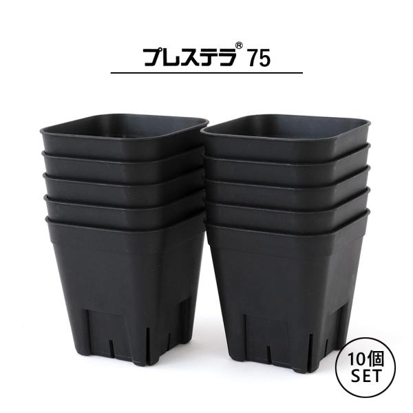 ※こちらは10個セット販売のページです※育成に最適なプラスチックのスリット鉢2024年1月に新発売されたコンパクトなサイズ子株を育てる時や小さな植物に最適です