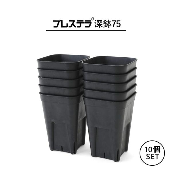 10個セット】プレステラ【 深鉢75 】64mm×90mm 2.5号 黒 スリット鉢 長
