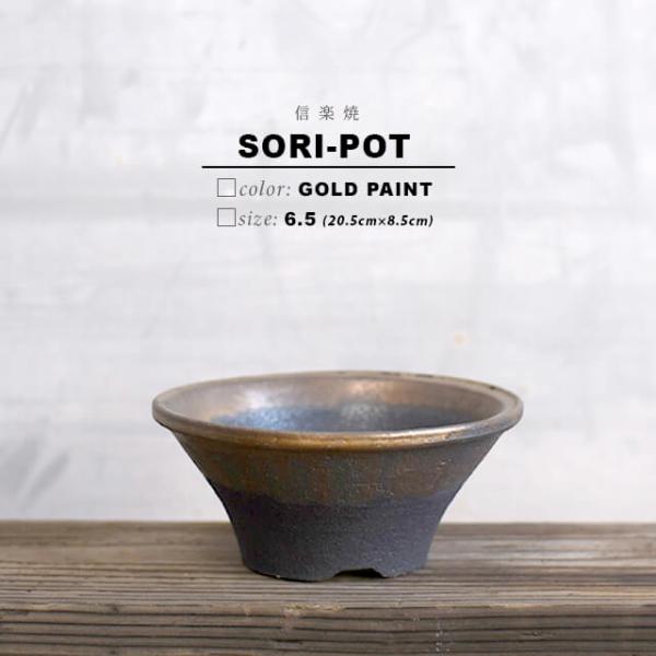 KAMIYAMA -SORI- POT【ソリ 金彩 6.5号 -M-】20.5cm×8.5cm かみ山陶器 反り ソリ 植木鉢 信楽焼 浅型 低い 底穴 アガベ コーデックス おしゃれ かっこいい