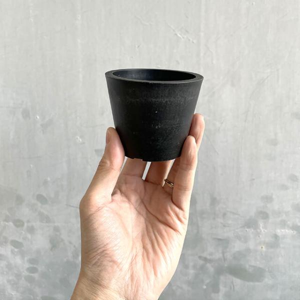 BLACK PLASTIC POT�ySTANDARD TYPE�z8cm�~6.5cm �� �v���� 3�� �A�ؔ� �u���b�N�|�b�g ������� ���������� ���� ������ ���J�o�[ marvista greenship ���i�摜4