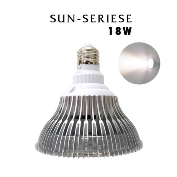 shallowplants_sun-18w