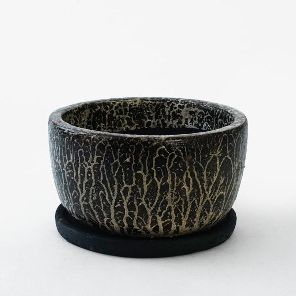 グロスシャロー【ブラック】Φ20cm×H10.5cm 植木鉢 陶器 7号 受皿付 浅鉢 渋い おしゃれ 塊根 盆栽 テクスチャ ビンテージ アガベ 多肉 塊根 底重心 古い