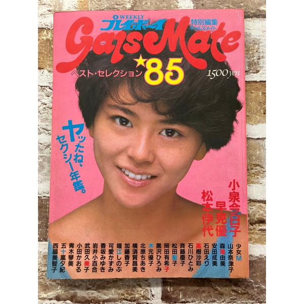 週刊プレイボーイ　GALS MATE'85　ギャルズメイト  　 A435-374