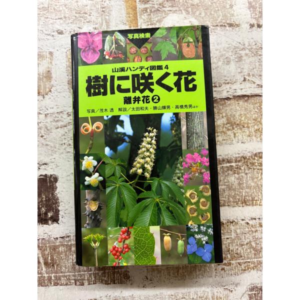 樹に咲く花―離弁花〈2〉 (山渓ハンディ図鑑) (山溪ハンディ図鑑 4) 石井 英美 山と溪谷社 C028-433