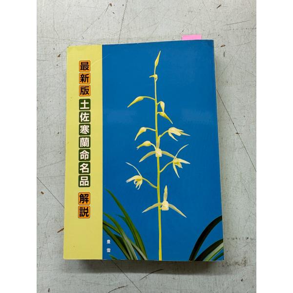 最新版　土佐寒蘭命名品   C076-409
