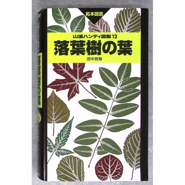 落葉樹の葉 (山溪ハンディ図鑑) 田中 啓幾 山と溪谷社 C175-130