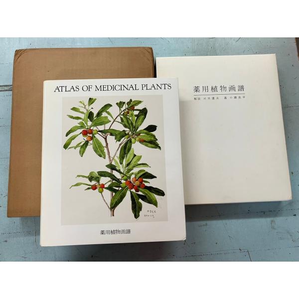 故小磯良平編集による薬用植物画譜 薬用植物画譜 小磯良平画(刈米達夫 (解説) 小磯良平 (画)) / 古本