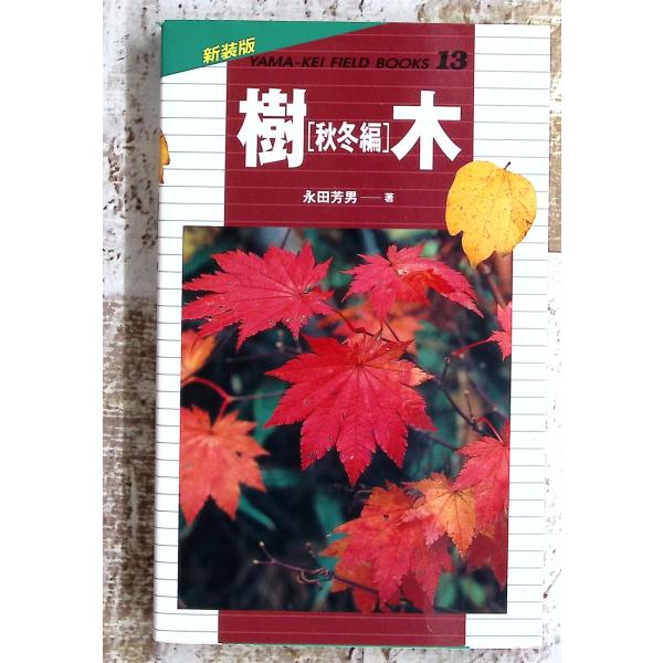 樹木―秋冬編 (山溪フィールドブックス) (山溪フィールドブックス 新装版 13) 永田 芳男 山と溪谷社 D024-467