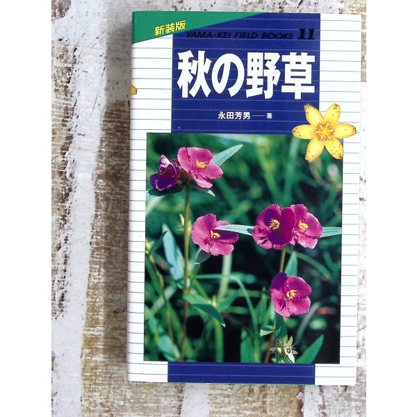 秋の野草 (山溪フィールドブックス) (山溪フィールドブックス 新装版 11) 永田 芳男 山と溪谷社 D024-468