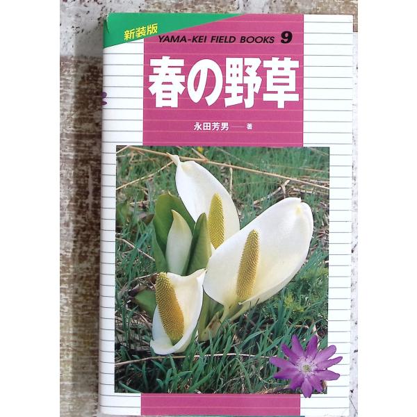 春の野草 (新装版山溪フィールドブックス) (山溪フィールドブックス 新装版 9) 永田 芳男 山と溪谷社 D024-470
