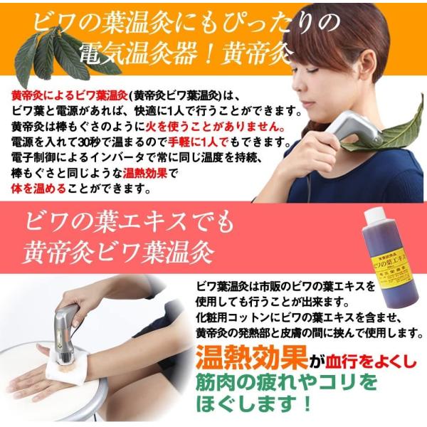 型 黄帝灸ナノプラチナ Ii 鍼 灸 治療器 電気 型 Share シェア Ii 温灸器