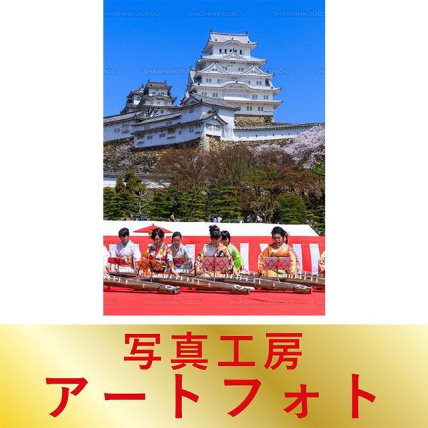 春夏新色 額装写真 富井義夫 オリジナルプリント 観桜会 姫路城 兵庫県 姫路市 大判サイズ 442 557mm Apa3 P2a0026 風景カレンダーの写真工房ストア 通販 Yahoo ショッピング 豪華 Odedtapirohandyman Com