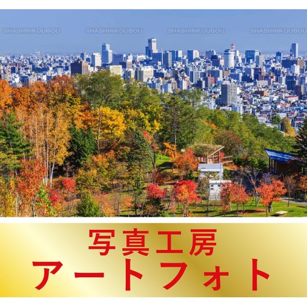 高い素材 額装写真 富井純朗 オリジナルプリント 旭山記念公園の紅葉と札幌市街 北海道 札幌市 大判サイズ 557 442mm Apa3 Tj 風景カレンダーの写真工房ストア 通販 Yahoo ショッピング Alpha Owl Apps Metodogrupo Com