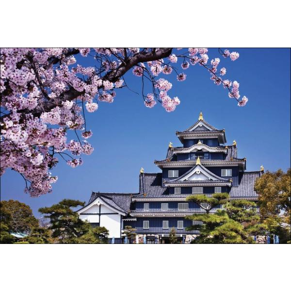 PT-001 桜咲く岡山城 : 風景カレンダーの写真工房ストア - 通販