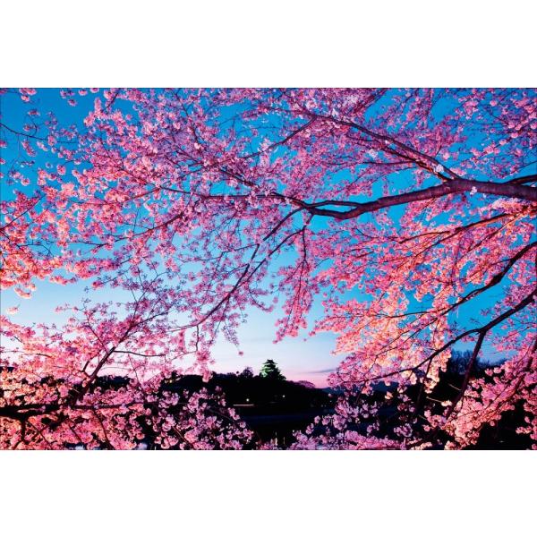 PT-050 夜桜に包まれる岡山城／岡山県