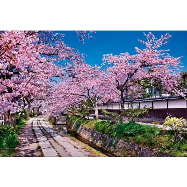 PT-052 哲学の道と桜並木／京都府