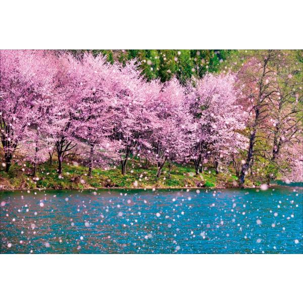 PT-056 桜吹雪く中綱湖／長野県