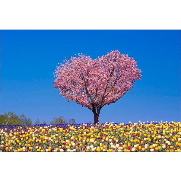 PT-065 春・ハートの木 : 風景カレンダーの写真工房ストア - 通販