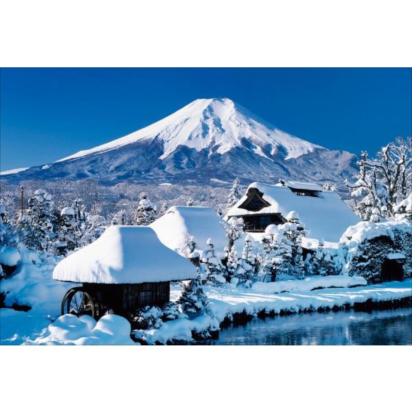 深山の雪 大雪の山形新幹線E8系と在来線の719系電車。オートフォーカスは