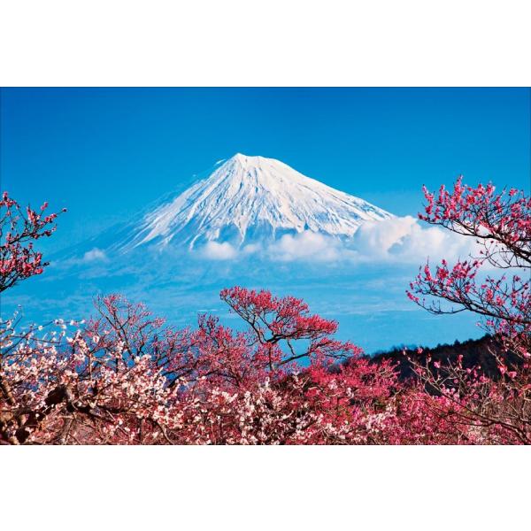 PT-096 t̔~тɕ܂xm^É - xms