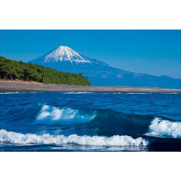 PT-097 三保の松原と富士山／静岡県 - 静岡市 : pt-097 : 風景