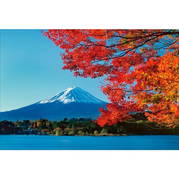 PT-102 ΔȂ̍gtƕxm^R - ͌