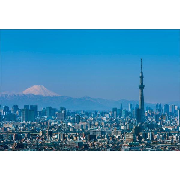【新着商品】富士山 スカイツリー 東京タワー ウォールアート 壁掛 壁面装飾 2 在庫処分】【 壁飾り 東京 日本 】富士山 スカイツリー 東京タワー