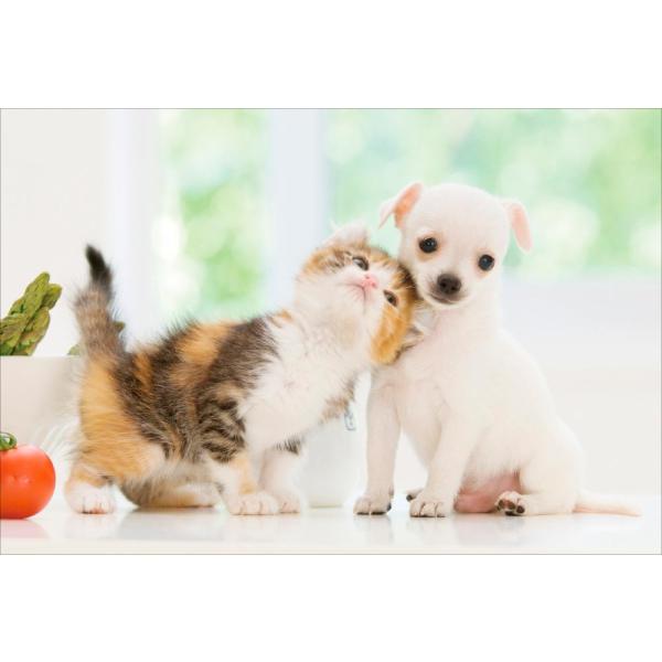 PT-125 ˁ`ˁ` Vڂ^AJEJ[  `