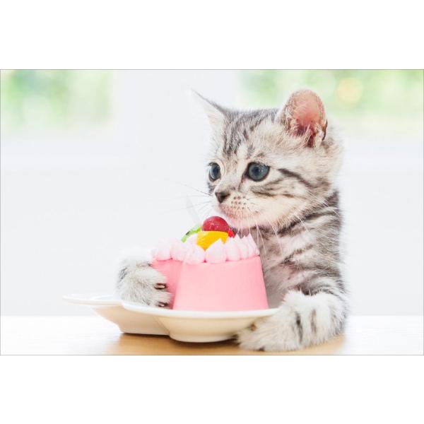 PT-127 l߂Ⴄ́I^AJV[gwA