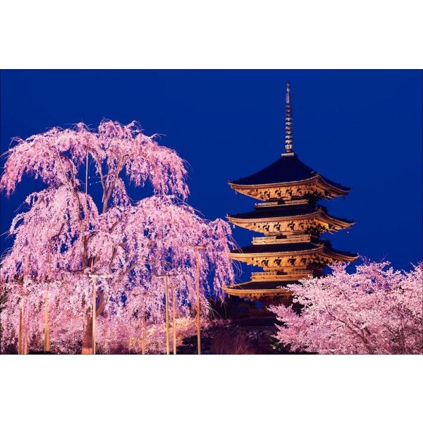 PT-137 夜桜と東寺（教王護国寺）／京都府