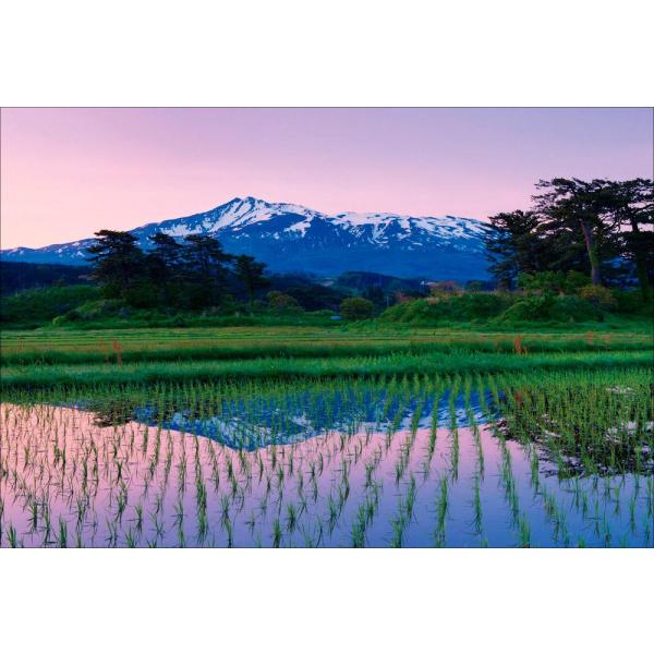 千葉手賀沼の自然を描く,日下賢二「風景」6号号油彩,朝の水鳥の群れ,野鳥の作家 📸⚜️⚜️⚜️⚜️⚜️⚜️⚜️ 手賀沼劇場 op.927N TAKE 1004