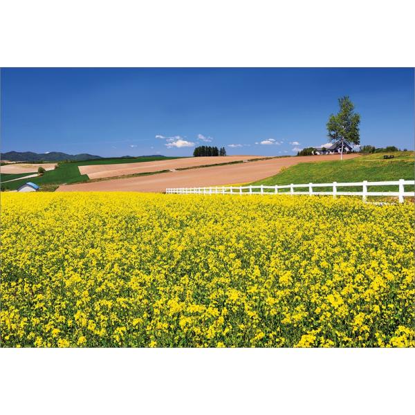 PT-170 Vh̋uW]ƍ؂̉