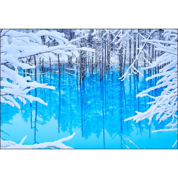 shashinkoubou_pt-180