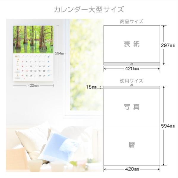 カレンダー21 壁掛け 森は生きている 自然緑綺麗写真秋風景絶景お洒落スケジュール Buyee Buyee 提供一站式最全面最專業現地yahoo Japan拍賣代bid代拍代購服務