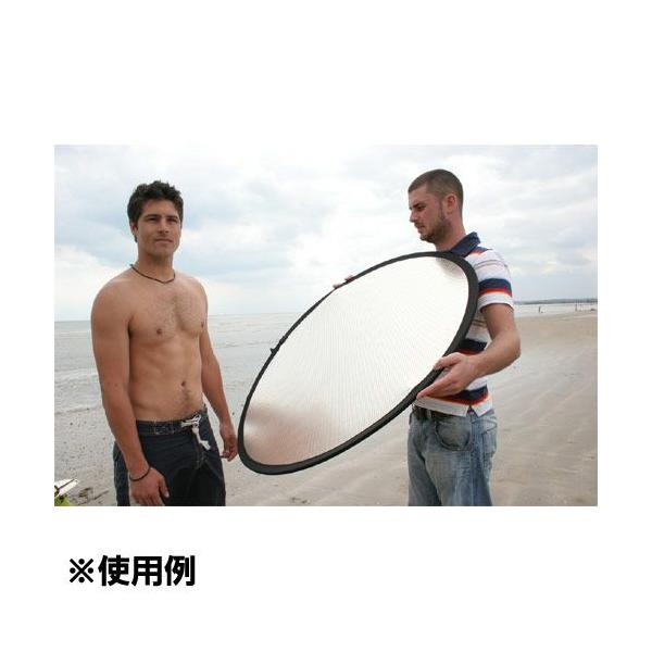 Lastolite LL LR2031 tN^[ 50cm Vo[/zCg yz