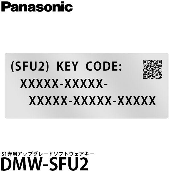 Panasonic（パナソニック） 【メール便 送料無料】 DMW-SFU2 S1専用