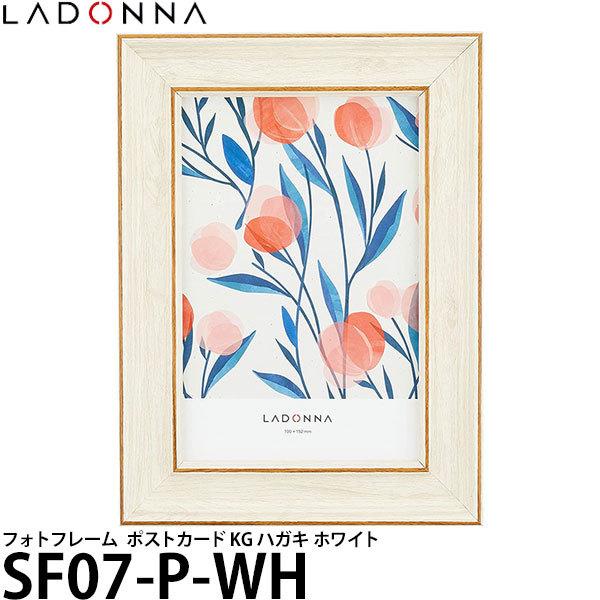 hi SF07-P-WH tHgt[ rO |XgJ[h zCgy[ z