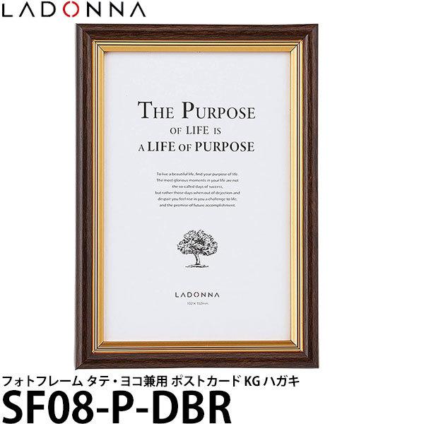 hi SF08-P-DBR tHgt[ rO |XgJ[h y[ zy[z