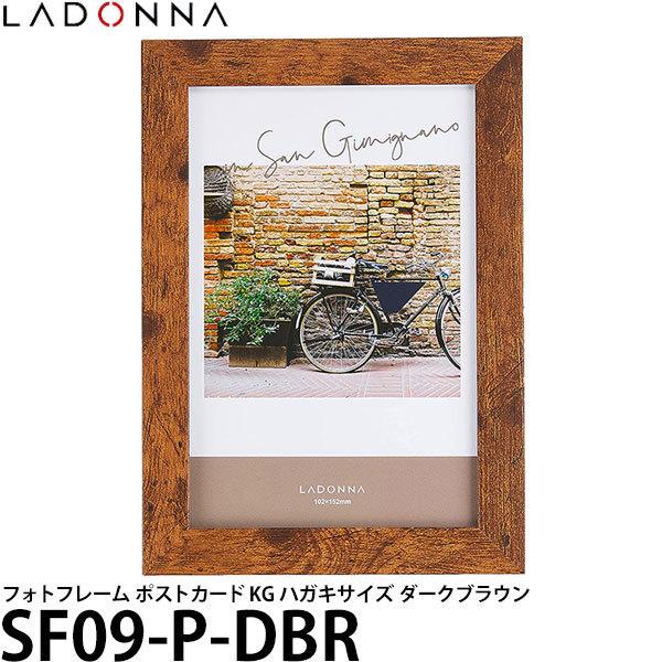 s݌Ɍt hi SF09-P-DBR tHgt[ rO |XgJ[h _[NuE y[ zy[z