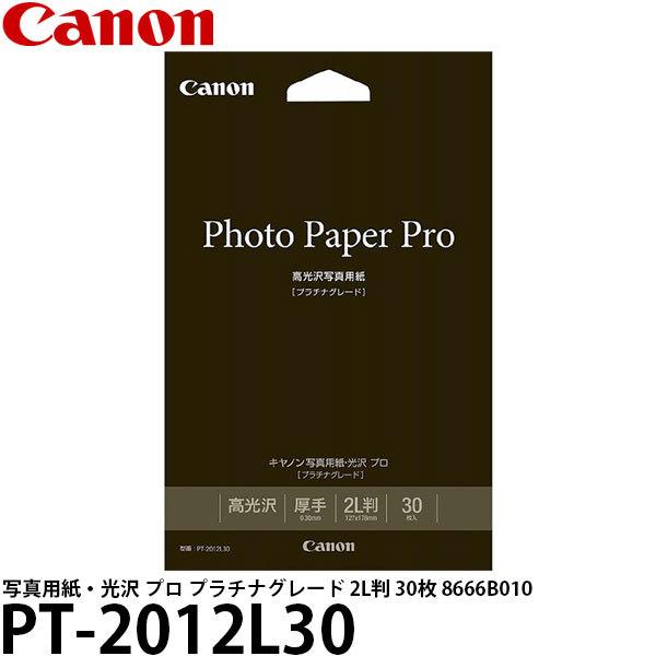 y[ z Lm PT-2012L30 ʐ^pE v v`iO[h 2L 30 8666B010