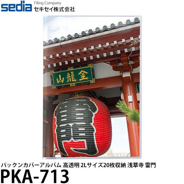 y[ z ZLZC PKA-713 pbNJo[Ao  2LTCY20[ 󑐎 