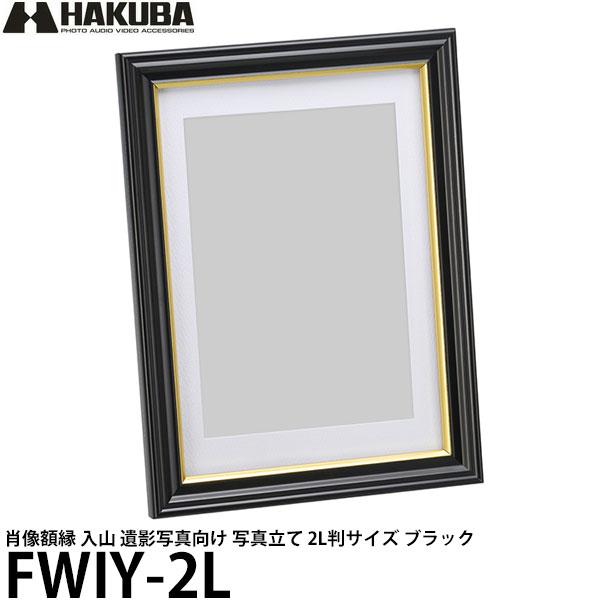 HAKUBA（ハクバ） FWIY-2L 肖像額縁 入山 2L判サイズ 【メール便 送料