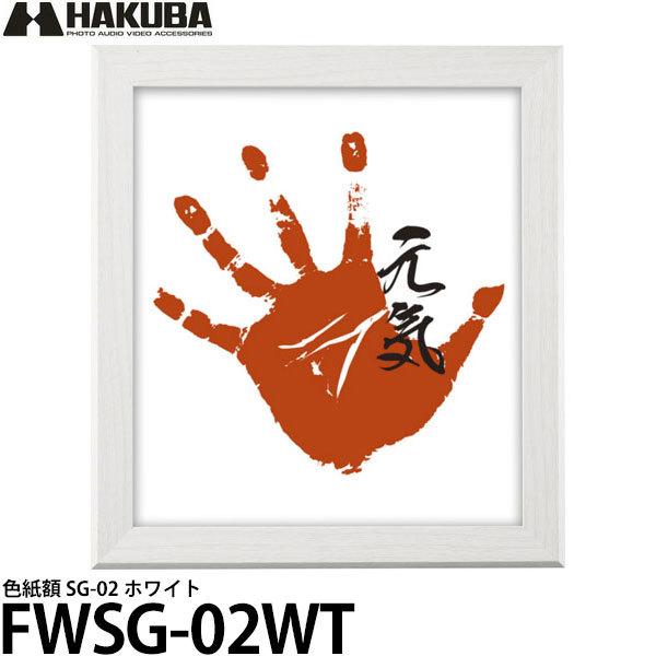 nNo FWSG-02WT Fz SG-02 zCg yz