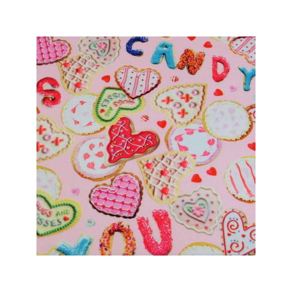 fW^vg n  n[g 10cmP | CeA Jgi[W ACVO NbL[ َq 킢 V[`O 100%