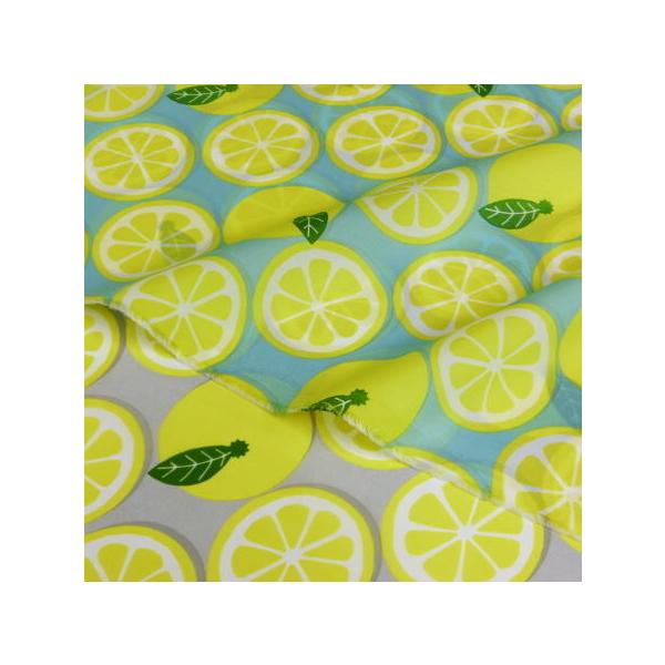 iCIbNX n 10cmP 2F2 { | GRobO CR[g Jo[   t[c  iC