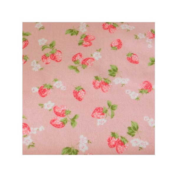 ȃ[ n  10cmP 3F { m n | 킢  60[  100