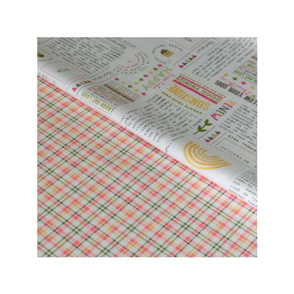 moda 生地 Renew 10cm単位 2点 手芸 キルト カルトナージュ モダ  Sweetwater 55560 55562 チェック 綿100% usaコットン 輸入生地 シープドリームズ