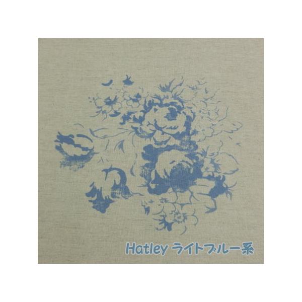 YUWA ���n CABBAGES&ROSES �R�b�g�����l�� 10cm�P�� 5�_ ���{�� ���n ��| �C���e���A �L���x�W�Y�����[�[�Y �K�N �Ȗ� �V�[�`���O �V�[�v�h���[���Y ���i�摜3